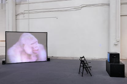 Una de las obras de la exposición 'Fabular Paisatges' en el Palacio Victòria Eugènia.