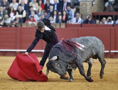 Manuel Escribano y el toro Cobradiezmos, indultado en Sevilla en 2016.