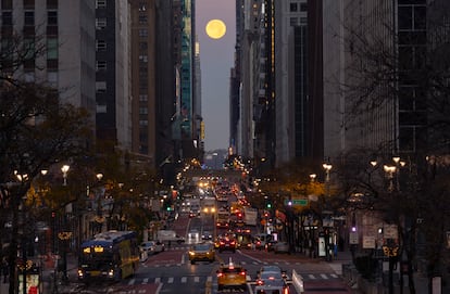 La luna de castor, este lunes en Nueva York (EE UU).