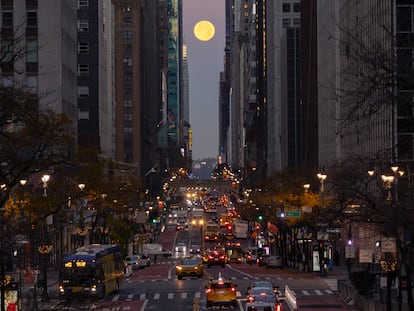 La luna de castor, este lunes en Nueva York (EE UU).