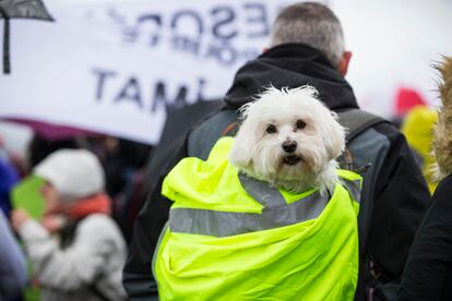 Chalecos Amarillos?(2018).?La revuelta empez a organizarse de forma transversal, tambin a travs de la redes sociales, cuando se anunci una subida de las tasas de los carburantes por parte del gobierno francs. Lo que empez como una protesta en rotondas y carreteras de todo el pas por una medida concreta que afectaba especialmente a los ciudadanos de las zonas alejadas de la urbe, esa "Francia perifrica?que concentra a los trabajadores pero no el trabajo" como?recordaba Mriam Martnez-Bascu?n,?mut hacia una revolucin que tambin se vivi en Pars y que capitaliz el hartazgo contra la precariedad y el empobrecimiento paulatino de las clases medias.