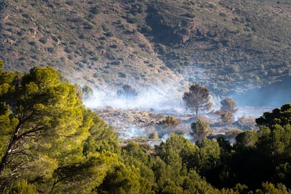 Incendio forestal en el Cap de Creus, el pasado febrero.