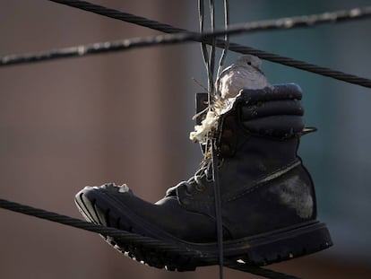 Un pájaro se refugia en una bota en Ciudad de México.