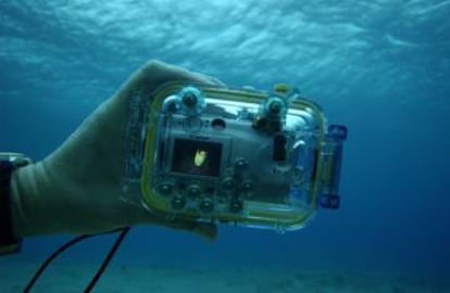 Una carcasa submarina para la cámara abrirá un mundo fotográfico fascinante bajo el agua.