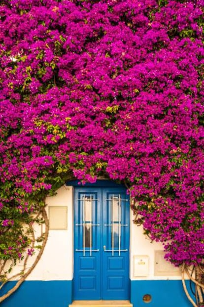 Fachada cubierta de buganvillas en el pueblecito de Burgau, en el Algarve.