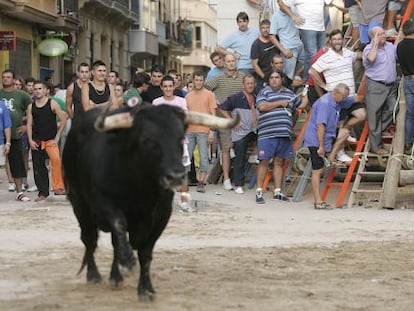 Festejo taurino en Borriana (Castellón)