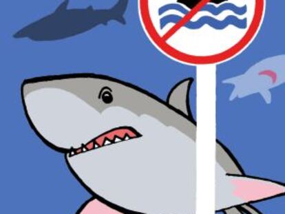 Salvar a los tiburones