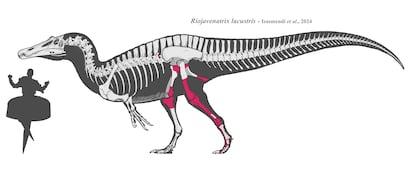 Ilustración de reconstrucción del dinosaurio descubierto en La Rioja