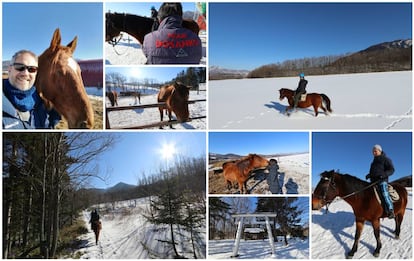 Rancho Dosanko Team. Taoyuan, Asahikawa (Hokkaido).