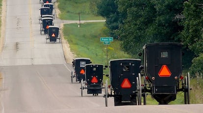 Carros de caballos utilizados por los Amish.