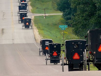 Carroças a cavalo utilizadas pelos Amish.