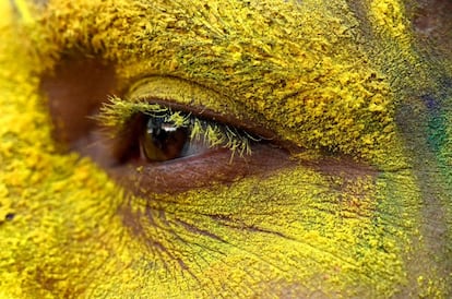 A pesar de que es una festividad que rinde culto al dios hindú Visnú, el significado religioso suele quedar en segundo plano por detrás de las ganas de diversión que tiñen todo de rojos, verdes, azules, rosas y amarillos. En la imagen, detalle del ojo de un militar indio, cubierto en polvo amarillo, en la ciudad de Srinagar.