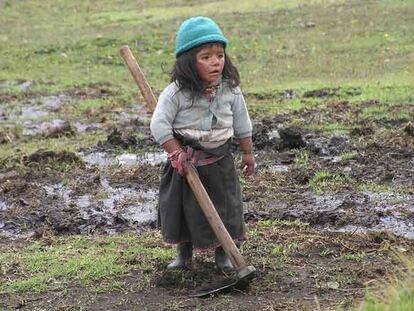 Una niña trabaja en el campo en Perú.