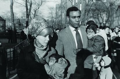 Central Park Zoo, New York. (Zoo de Central Park, Nueva York), 1967. Gelatina de plata. Colección de Randi y Bob Fisher. Fotografía: Don Ross