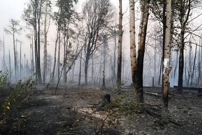 Un bosque de Alaska totalmente calcinado por el fuego, el pasado 18 de agosto. 