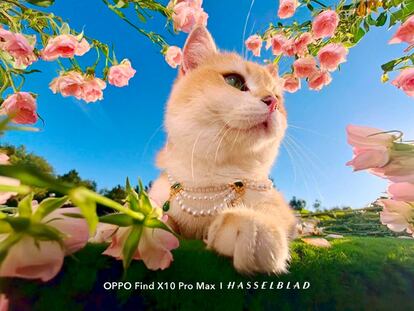 Foto OPPO Find X10 Pro Max