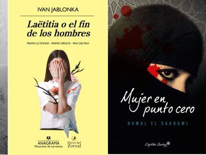 Literatura de la violación