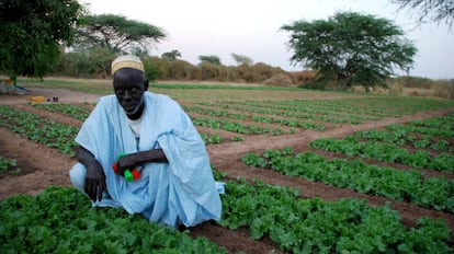 El agua llegó a la casa de Usman Ndiaye en el año 94, fue de los pocos varones que decidió quedarse en su pueblo.