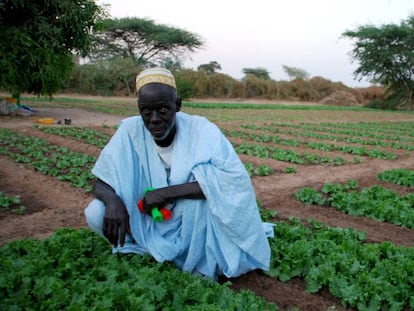 El agua llegó a la casa de Usman Ndiaye en el año 94, fue de los pocos varones que decidió quedarse en su pueblo.