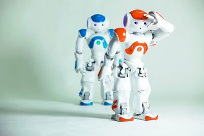 El modelo Nao Next Gen, diseñado por Aldebaran Robotics.