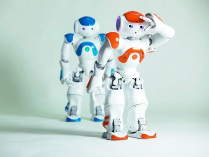 El modelo Nao Next Gen, diseñado por Aldebaran Robotics.