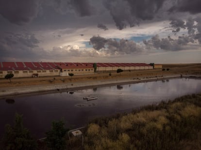 Las macrogranjas porcinas cuentan con depósitos de desechos, denominados purines. Los cuantiosos líquidos que ahí se concentran propician la contaminación de las aguas del subsuelo con nitratos y otros productos, que ponen en riesgo la reserva limpia de líquido de España, con los que se alimentan ríos, lagos, lagunas y tomas para comunidades.