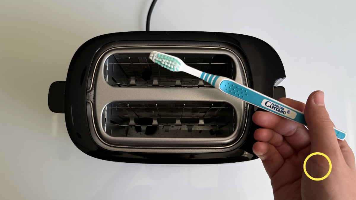 Prueba de limpieza de la tostadora Philips Daily Collection con un cepillo de dientes.