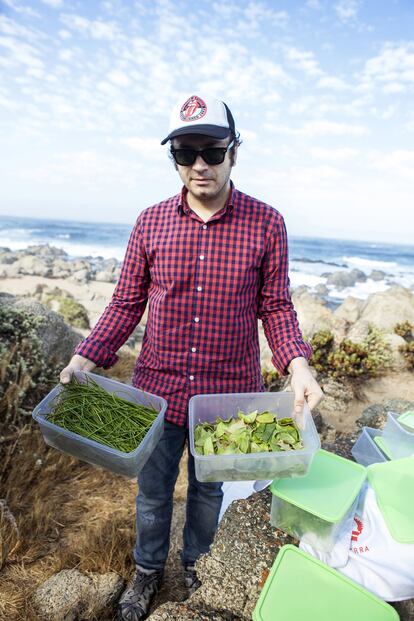 Las algas tienen cierto sabor cuando están recién salidas del agua, pero cuando se cocinan bajo determinados tratamientos, los chef logran conseguir sabores realmente impresionantes.