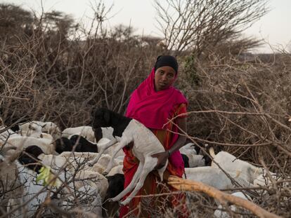 Una joven de una familia de pastores en Somalia desplazada por la sequía.