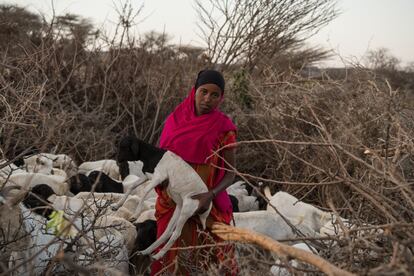 Una joven de una familia de pastores en Somalia desplazada por la sequía.