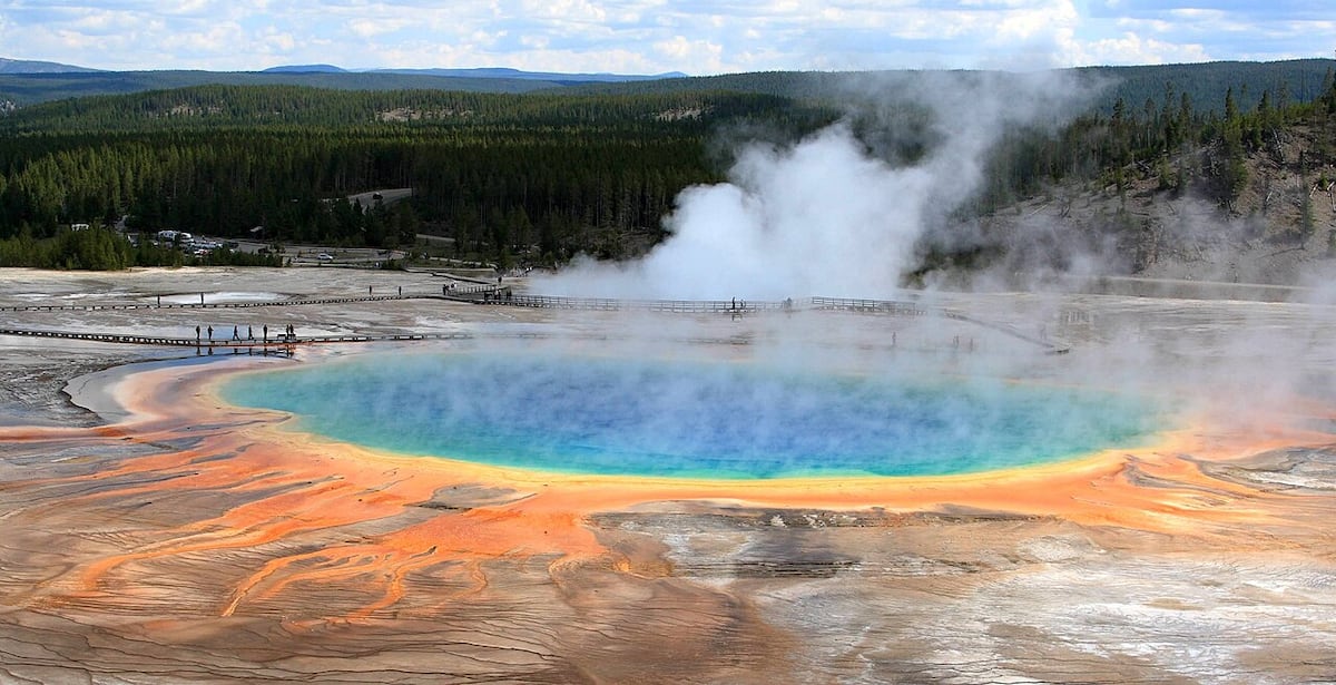 Experiment sheds light on the origin of life, supporting the existence of a ‘thioester world’ before living beings