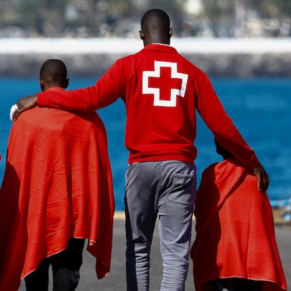 A Red Cross volunteer accompanies four minors to a Red Cross tent at the port of Arguineguin, on the island of Gran Canaria, Spain, January 29, 2025. REUTERS/Borja Suarez