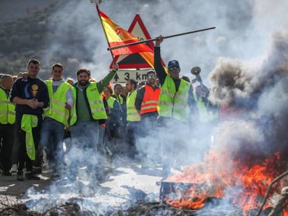 Olivareros de Granada y Jaén cortan la A-4 como protesta por los precios. 