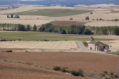 Alrededores del municipio de Fresno de Cantespino (Segovia), en la zona donde se halla la necrópolis de Castiltierra.