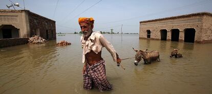 Ali Mardan conduce a sus burros a través de las aguas en el pueblo inundado de Karampur, en el sur de Pakistán.