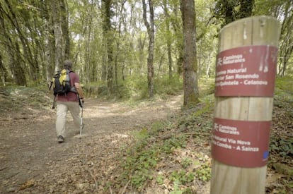 Un senderista en el Camino Natural de San Rosendo, en Ourense, a su paso por las ruinas romamans de Aquis Querquenis.