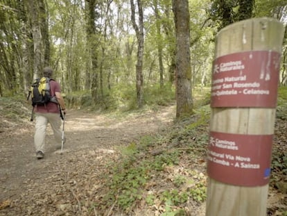 Un senderista en el Camino Natural de San Rosendo, en Ourense, a su paso por las ruinas romamans de Aquis Querquenis.