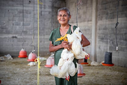 Una mujer junto a los pollos que recibió del Gobierno.