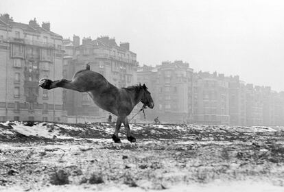 Caballo, Porte de Vanves, París, 1952