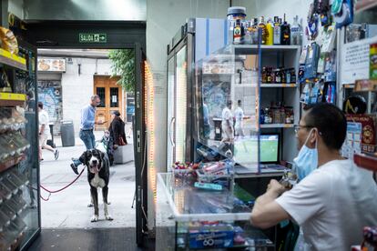 Sua espera en la puerta de una tienda de alimentación en el centro de Madrid.
