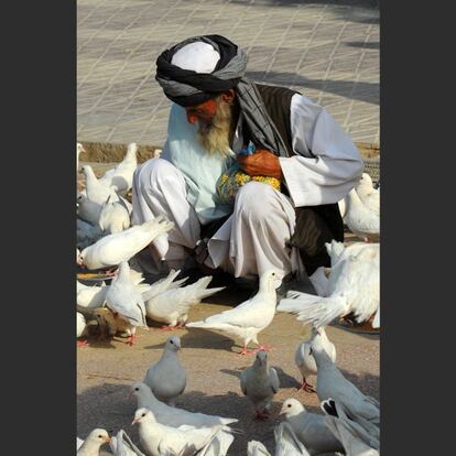 2011, Mazar e Sharif, Afganistán. En un Afganistán asolado por la guerra, escenas como esta resultaban llamativas. Poco antes de ver a este anciano alimentando las palomas en la plaza de la mezquita azul de Mazar e Sharif, había estado conversando con un artesano en un comercio cercano. Me comentó con preocupación que la primavera solía marcar el inicio de los ataques de los talibán, y que esperaba que ese año no afectase a su familia o a su negocio.