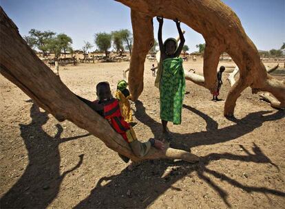 Niños sudaneses desplazados por la guerra juegan en un árbol en la frontera entre Chad y Darfur.