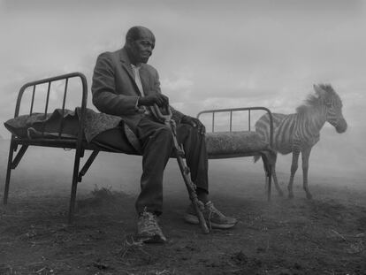 Las imágenes fueron tomadas en distintos santuarios ecológicos que sirven de refugio a una fauna amenazada por la caza o la destrucción de su hábitat. La adaptación de los animales a la presencia humana facilitó al fotógrafo la posibilidad de realizar los retratos.<p>En la imagen, el keniano Githui, que abandonó su granja también por la sequía, junto a la cebra 'Kimanko', que se hallaba abandonada.</p>