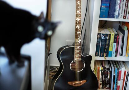 El gato Truco y una guitarra.