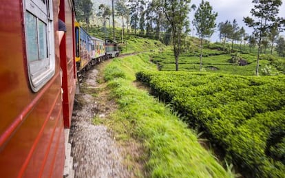 Un tren atraviesa la región de Nuwara Eliya, en Sri Lanka, zona montañosa repleta de plantaciones de té.