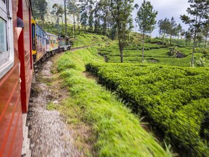 Un tren atraviesa la región de Nuwara Eliya, en Sri Lanka, zona montañosa repleta de plantaciones de té.