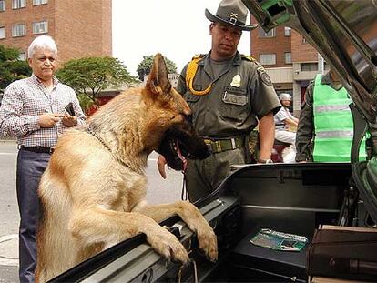 Un agente de policía, con un perro adiestrado, registra un coche en busca de explosivos en Medellín.