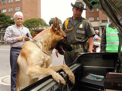 Un agente de policía, con un perro adiestrado, registra un coche en busca de explosivos en Medellín.