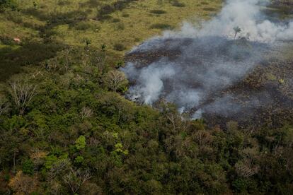 A cerca de 40 quilômetros de Rio Branco, capital do Acre, o fogo consome rapidamente toda a mata virgem e áreas de criação de animais. Entre 1 de janeiro e 22 de agosto foram registrados 76.720 focos de incêndios, 85% a mais do que no mesmo período de 2018 (quando houve 41.400).