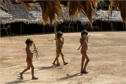 Crianças chupam cana, uma das principais fontes de alimentação, na aldeia Demini.